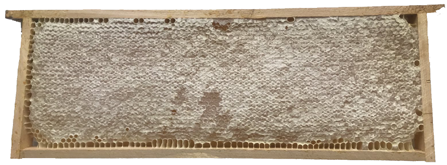 Пчелна пита в дървена рамка